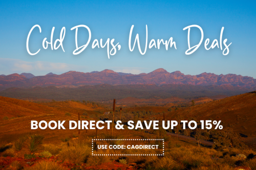 Cold Days, Warm Deals
